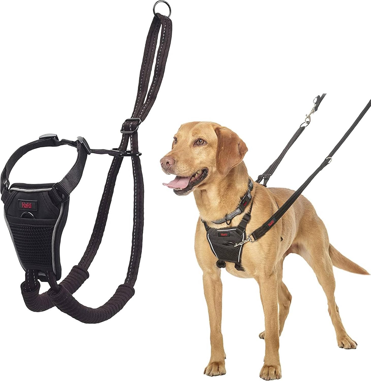 The Company Of Animals Halti NoPull Harness Black Medium Main image