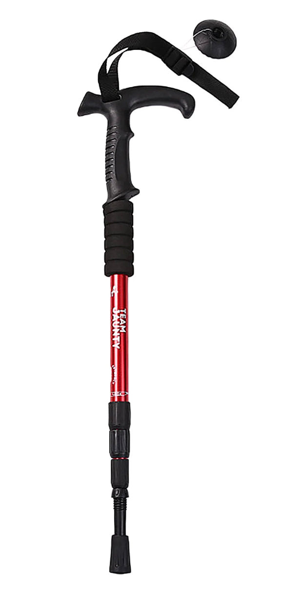 Team Jaunty Hiking Stick Main image