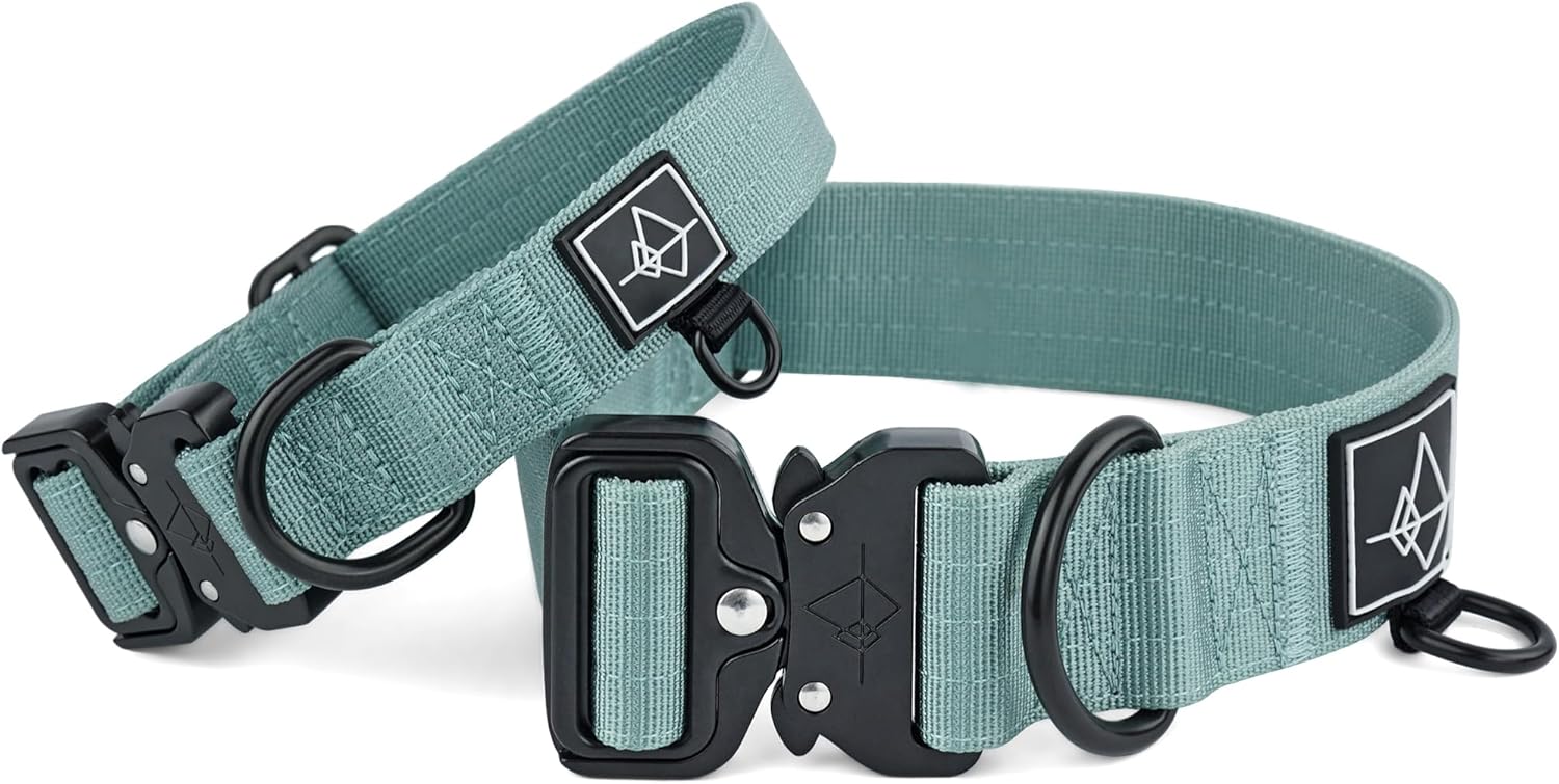 Made To ROAM Premium Dog Collar Adjustable Heavy Duty Nylon Collar With QuickRelease Metal Buckle Florida Seaside Size 1 Main image