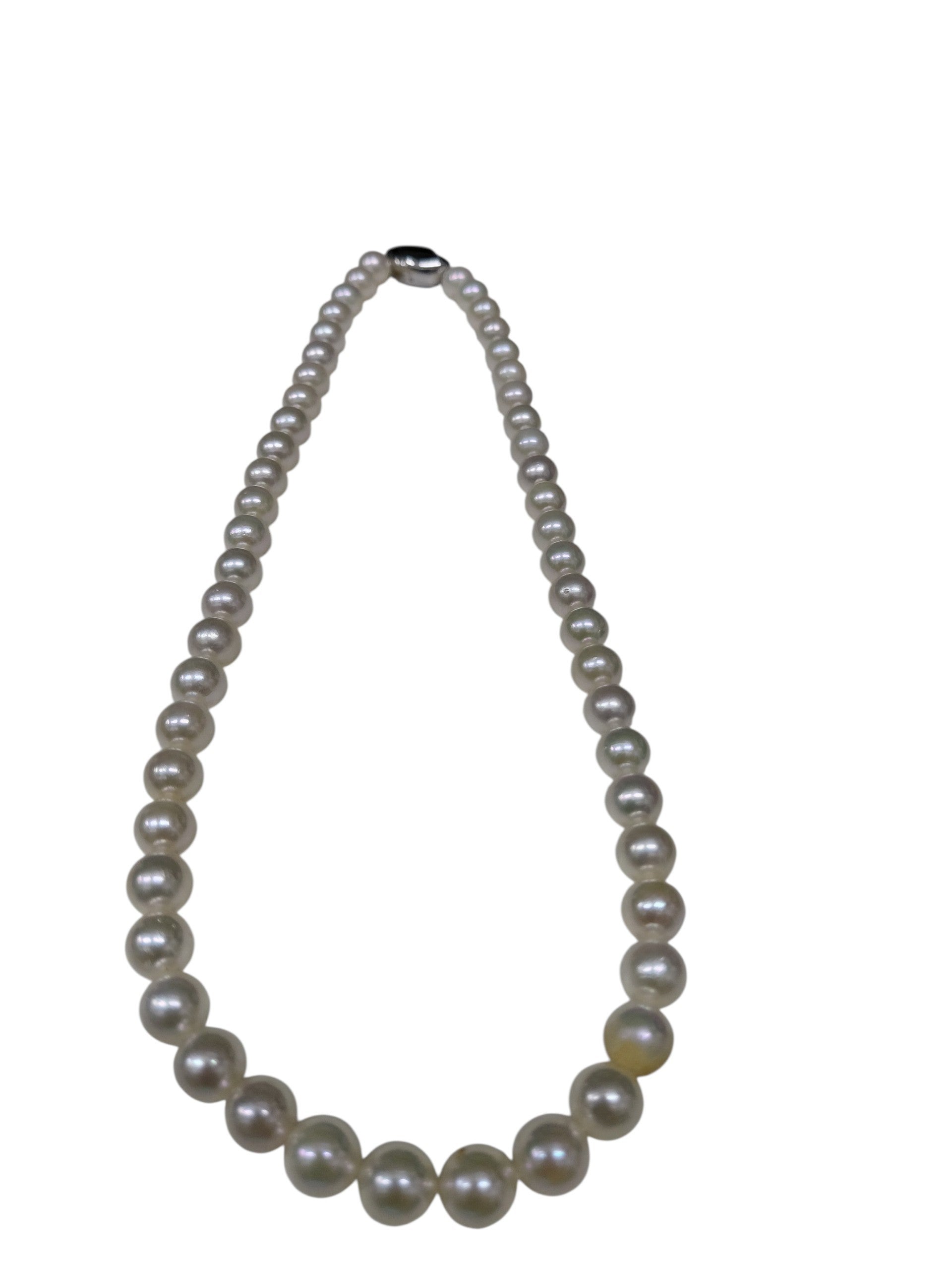 Akoya Pearl Necklace