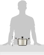 Dolphin Collection Stainless Steel Saucepot 20cm Sandwich Base