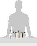 Dolphin Collection Stainless Steel Saucepot 20cm Sandwich Base