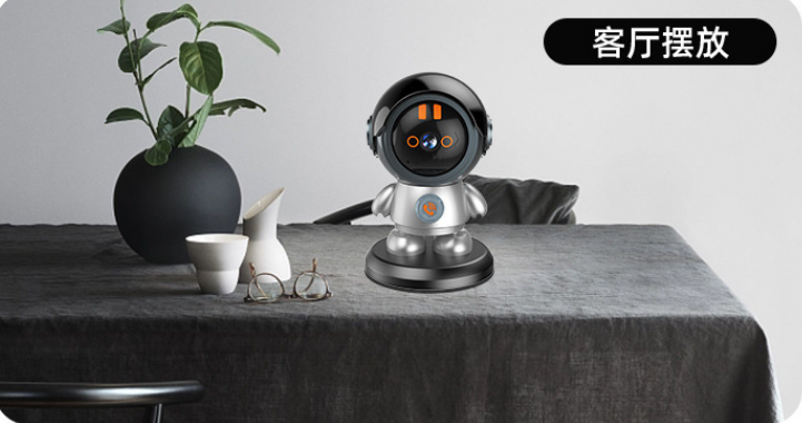 IP Camera-Robot