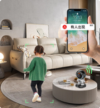 IP Camera-Robot