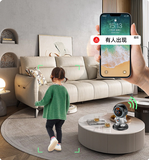IP Camera-Robot