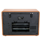 Radio With Speaker-Puxing