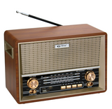 Radio With Speaker-Puxing