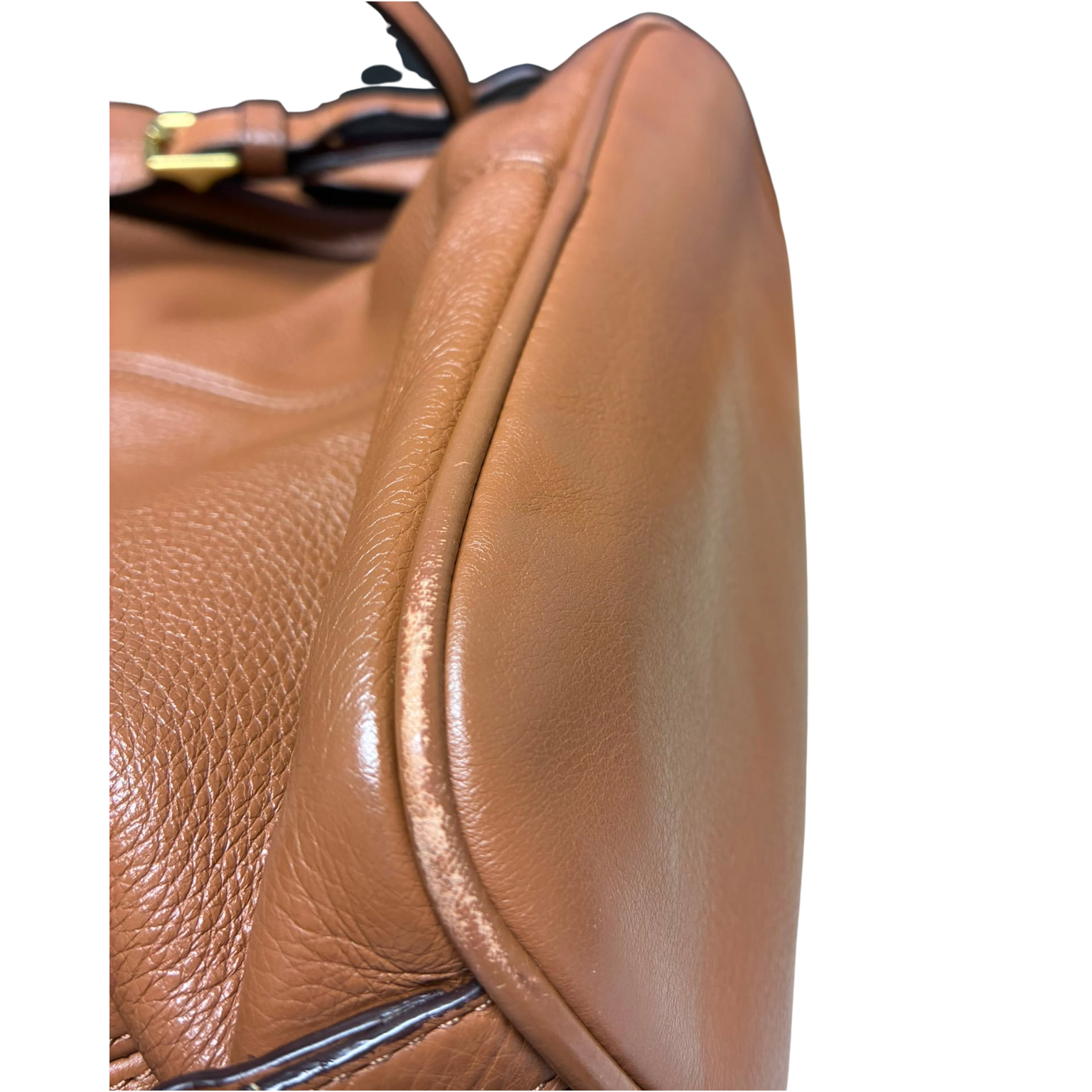 Coach F24385 Park Leather Backpack British Tan