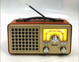 Meier M1913BT Portable FM Radio