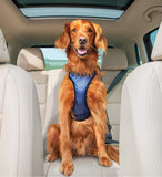 PetSafe Happy Ride Dog Safety Harness For Cars Large