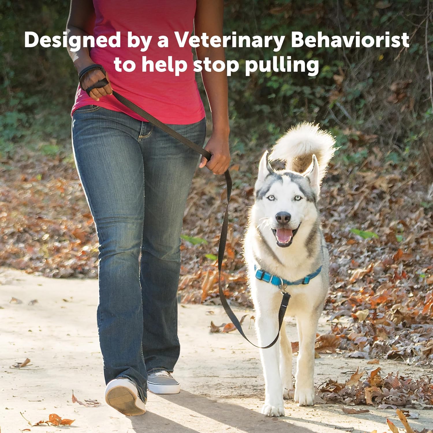 PetSafe Deluxe Easy Walk Dog Harness For Medium Dogs Ocean Medium Secondary image