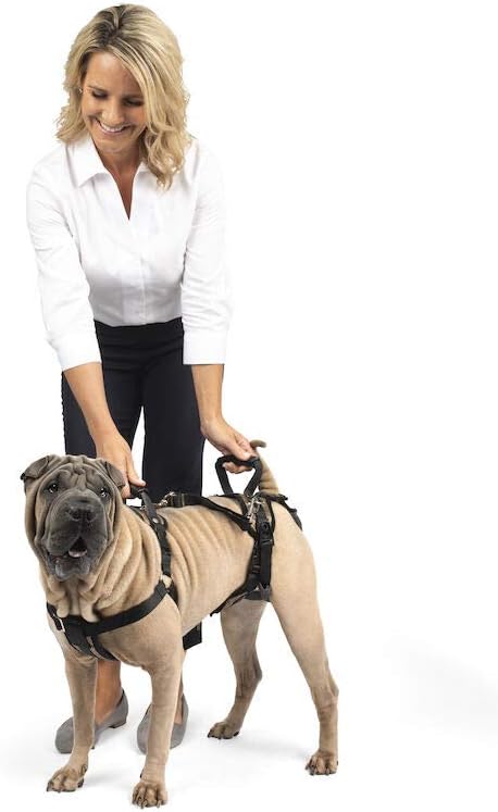 PetSafe CareLift Support Harness Full Body Dog Lift Harness With Handle And Shoulder Sling Large Secondary image