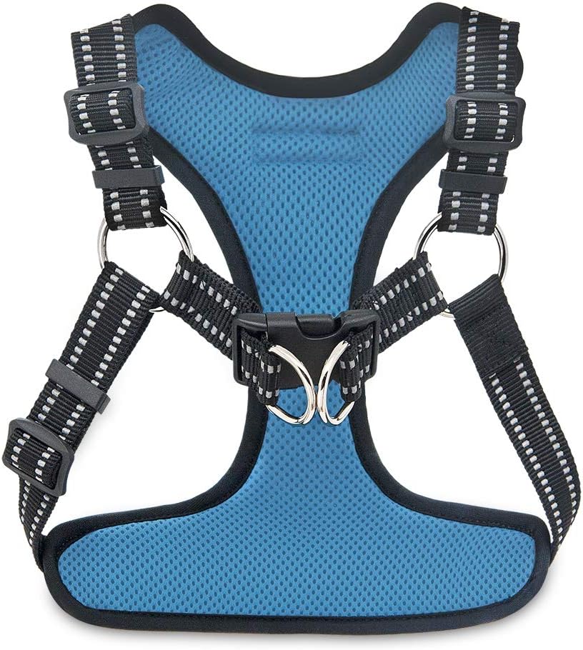 Voyager StepIn Flex Dog Harness Medium Dogs Turquoise