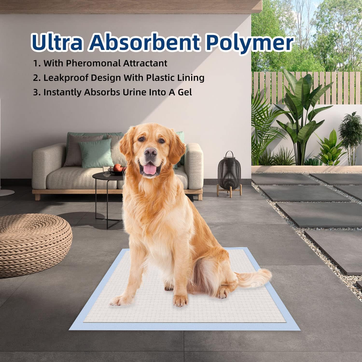 HONEY CARE AllAbsorb Large 22in x 23in 100 Count Dog And Puppy Training Pads Secondary image