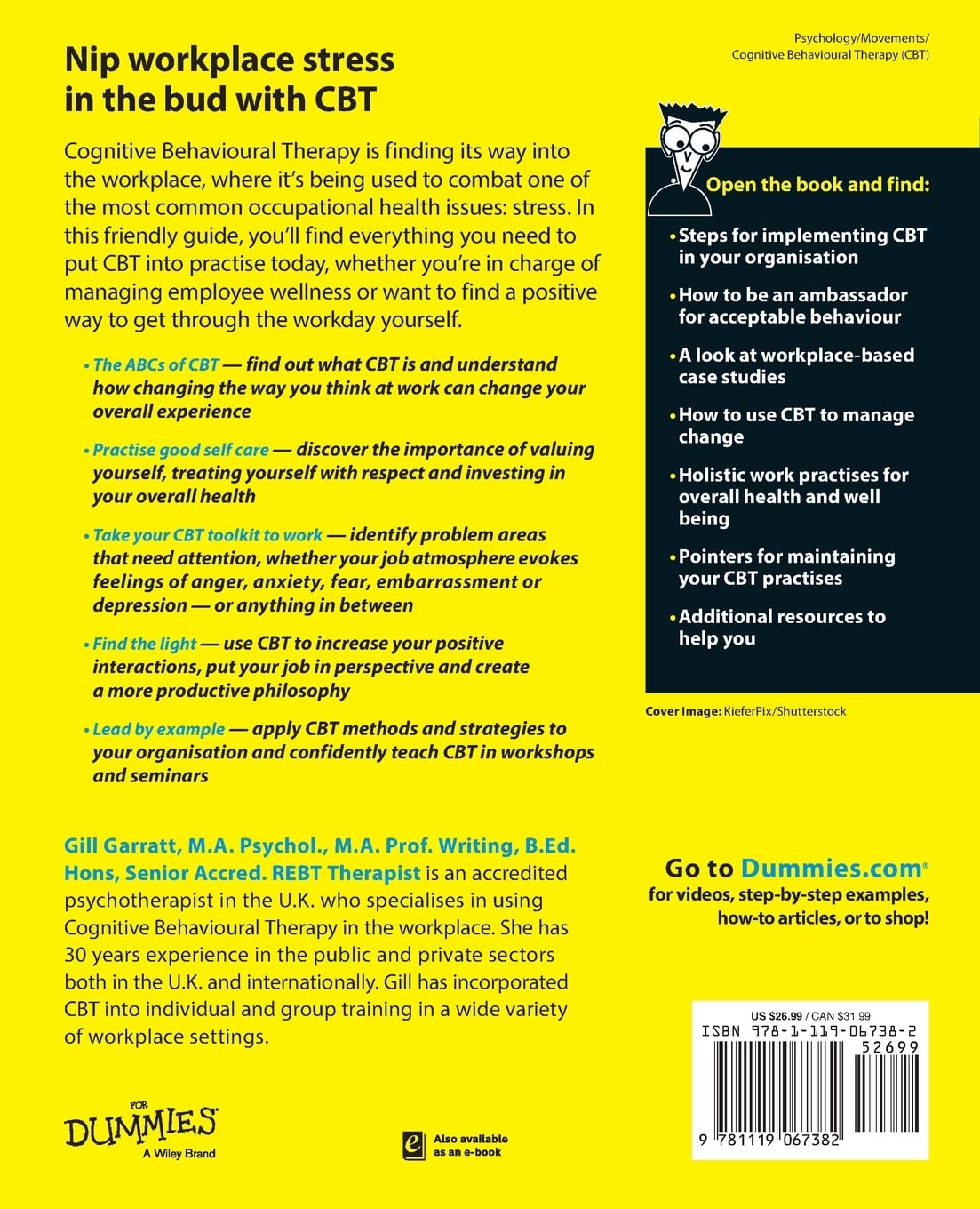 CBT At Work For Dummies Secondary image