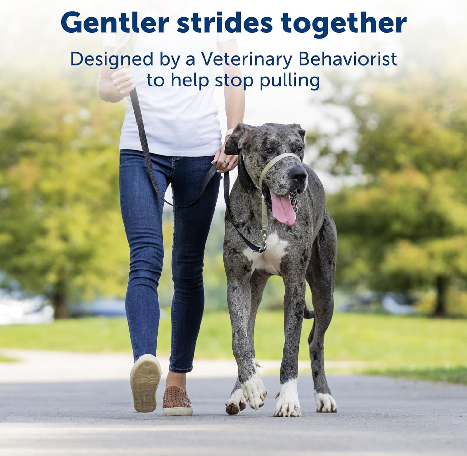 PetSafe Gentle Leader NoPull Dog Headcollar Small Fawn Secondary image