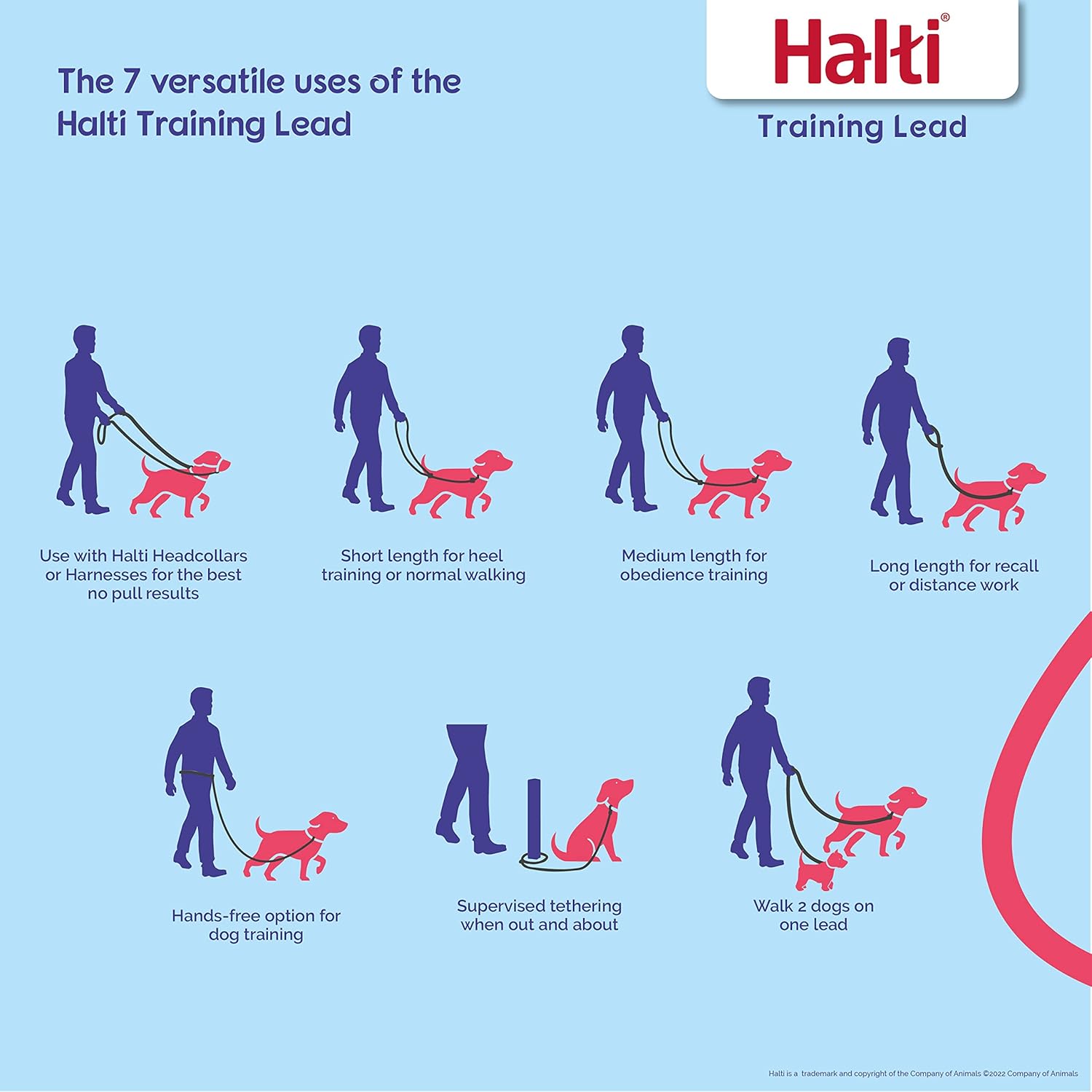 The Company Of Animals Halti Training Lead 6ft 7in Large Black Secondary image