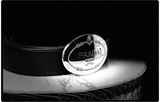Prada Saffiano Leather Belt With Engraved Oval Plaque Buckle