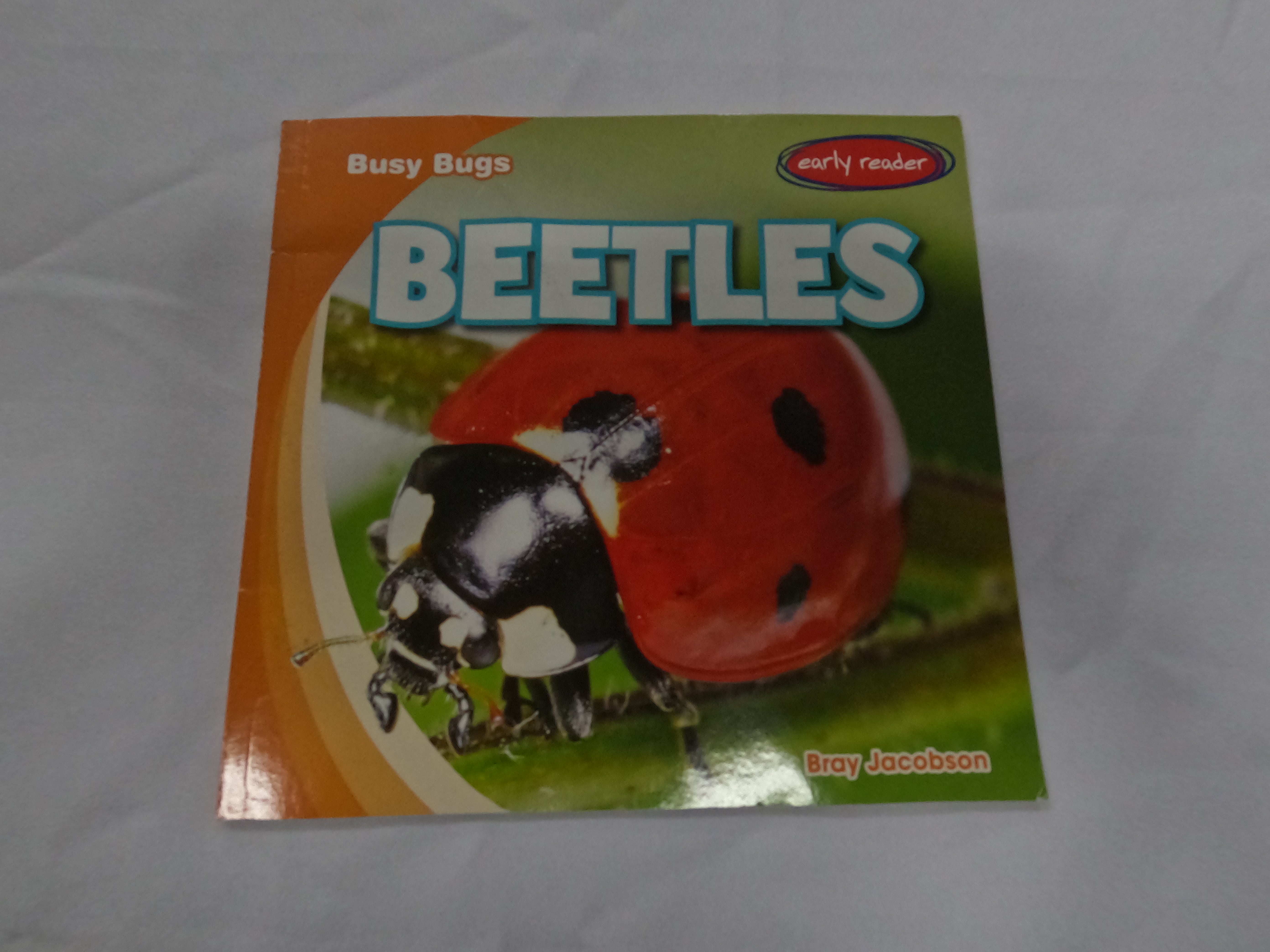 Beetles Paperback Main image