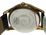 Pierre Cardin PCX8516G514 Mens Watch