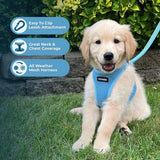 Voyager StepIn Air Dog Harness Baby Blue XXXSmall