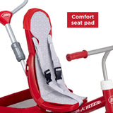 Radio Flyer 4in1 Stroll N Trike Toddler Trike