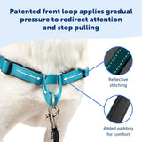 PetSafe Deluxe Easy Walk Dog Harness For Medium Dogs Ocean Medium