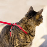 PetSafe Come With Me Kitty Harness And Bungee Leash Harness For Cats Large Royal BlueNavy