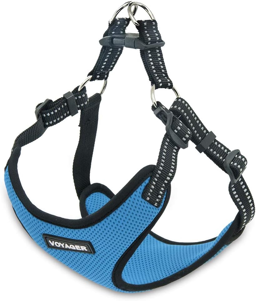 Voyager StepIn Flex Dog Harness Medium Dogs Turquoise