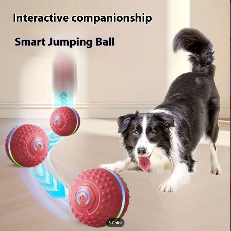 Smart Dog Toy - C72-11P060