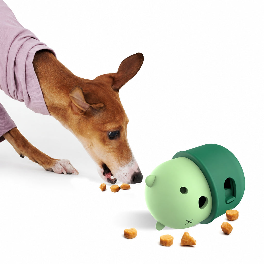 Pet Puzzle Leakage Toy - H63-CW-020