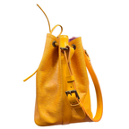 Louis Vuitton Epi Petit Noe bucket bag