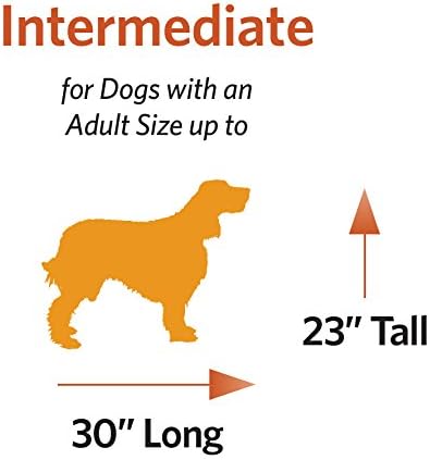 MidWest iCrate 36in Folding Metal Dog Crate With Divider Panel For Intermediate Dog Breed