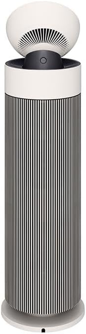 LG AS55GGSY0 Aero Booster Air Purifier