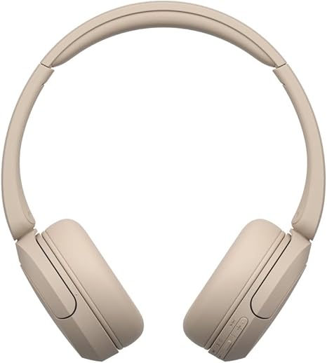 Sony WH-CH520 Wireless Headphones