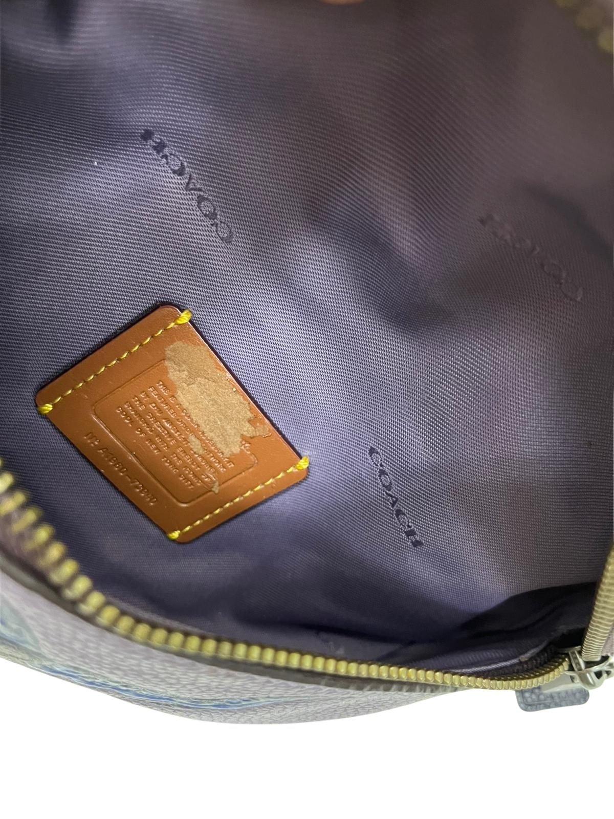 Coach 73940 Belt Bag With Rexy By Zhu Jingyi
