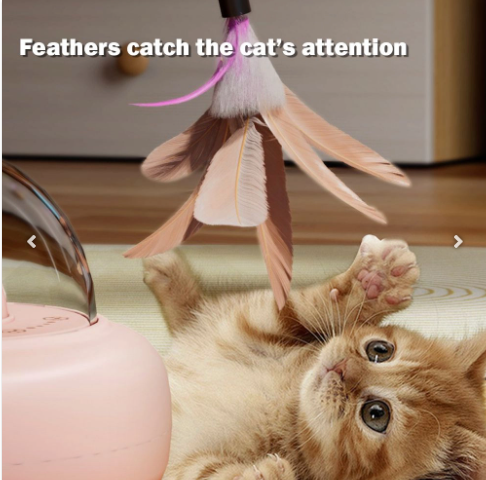 Rolling Cat Teaser with Laser - AD1468