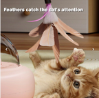 Rolling Cat Teaser with Laser - AD1468