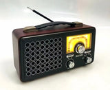 Meier M1913BT Portable FM Radio