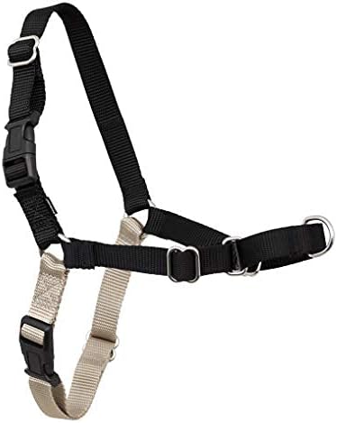 PetSafe Easy Walk Harness PetiteSmall BlackSilver For Dogs