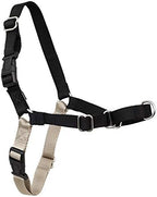 PetSafe Easy Walk Harness PetiteSmall BlackSilver For Dogs