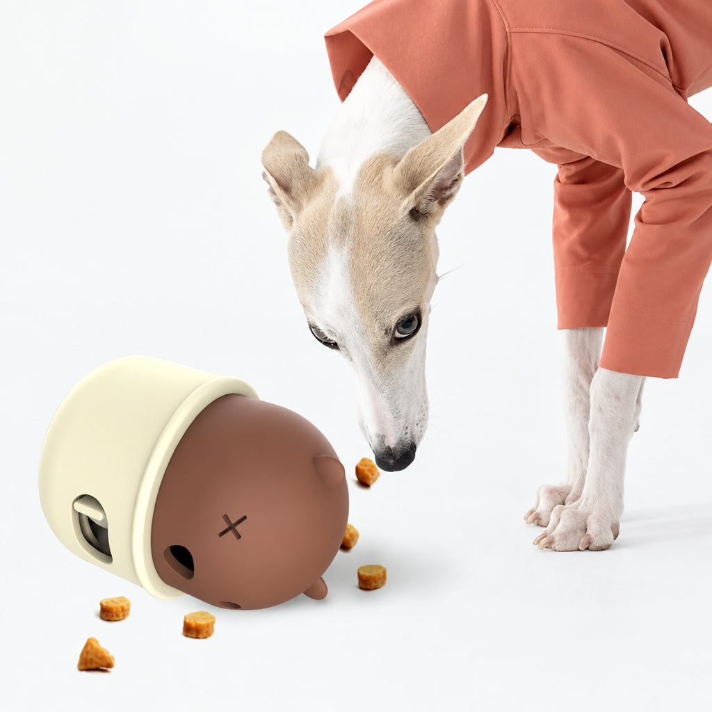 Pet Puzzle Leakage Toy - H63-CW-020