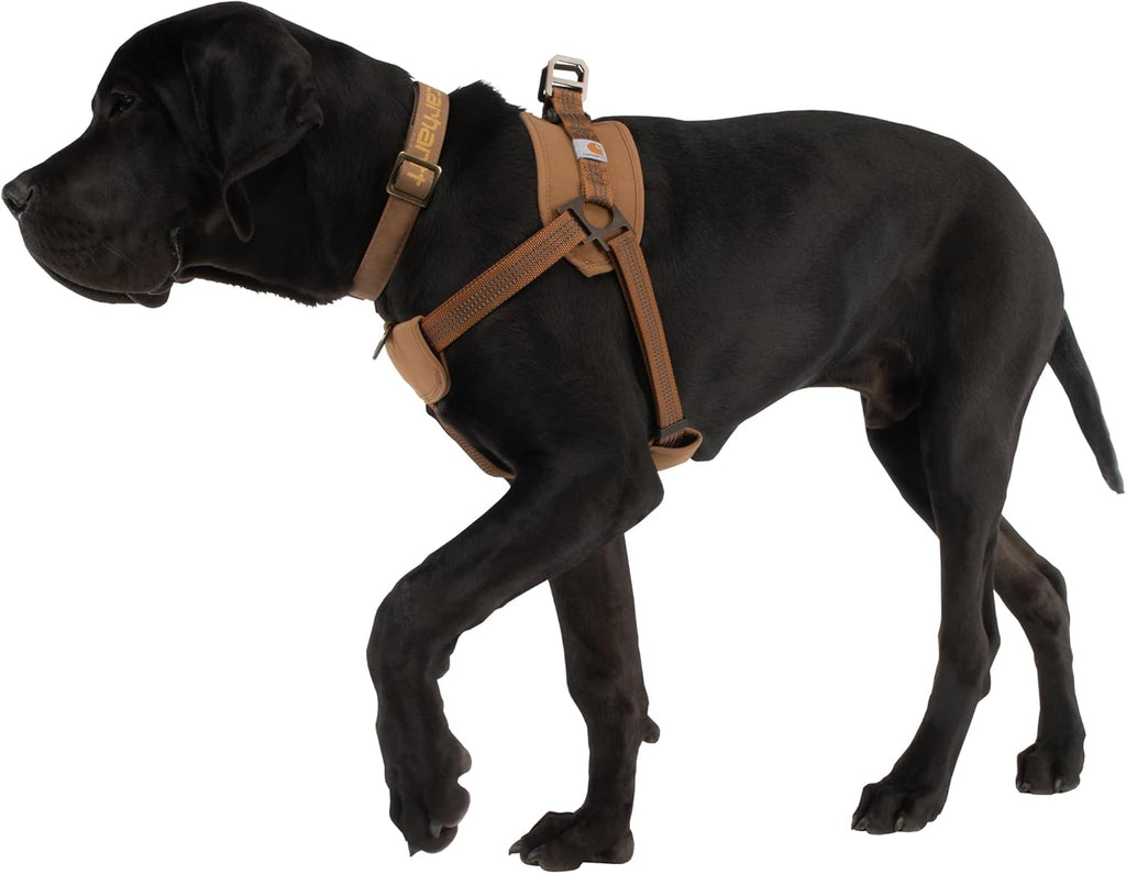 Carhartt Nylon Training Dog Harness Small Brown
