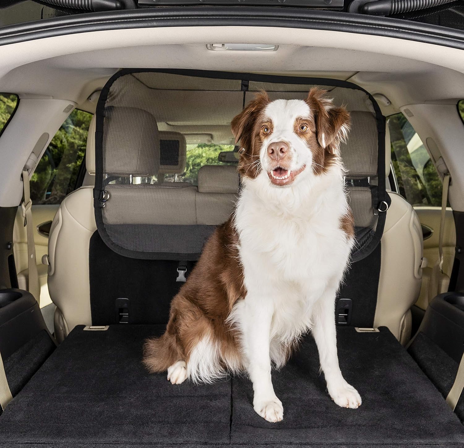 PetSafe Happy Ride Cargo Area Dog Barrier