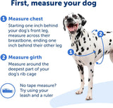 PetSafe Deluxe Easy Walk Dog Harness For Medium Dogs Ocean Medium