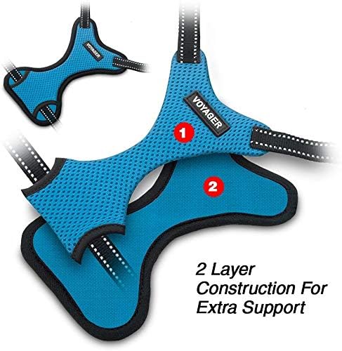 Voyager StepIn Flex Dog Harness Medium Dogs Turquoise