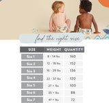 The Honest Company Clean Conscious Diapers Plant Based Sustainable Young At Heart Rose Blossom Super Club Box Size 2 12 To 18 lbs 152 Count