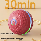 Smart Dog Toy - C72-11P060
