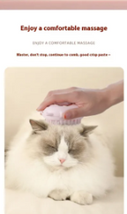 Cat Teasing Comb with Laser - AD8599