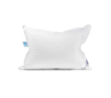 Continental Bedding Luxury Down Pillows Queen Size